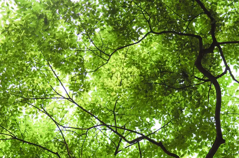 深圳华熙汽车销售服务有限公司新车交付流程与售后保障解析